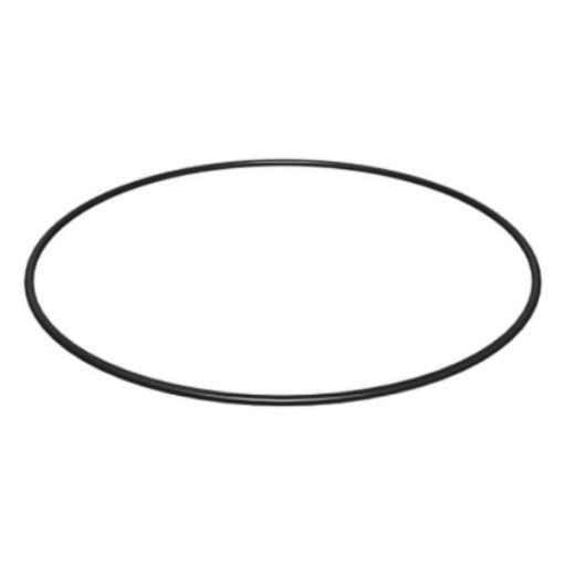 Immagine di 1565198 TENUTA SEAL-0-RING