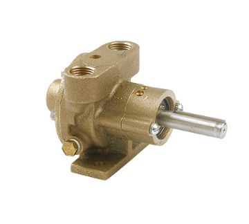 Immagine di R30G Pompa Raffreddamento Motore per Westerbeke