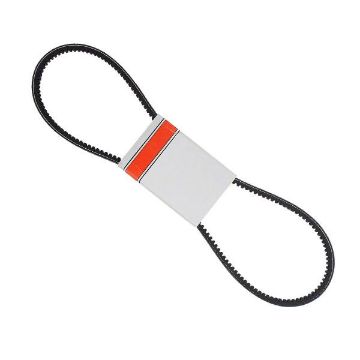 Immagine di 1922169A BELT