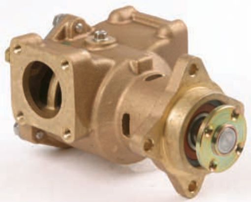 Immagine di 5268375 PUMP,SEA WATER