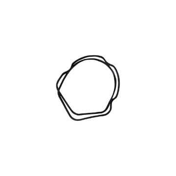 Immagine di 119260-11310 GUARNIZIONE