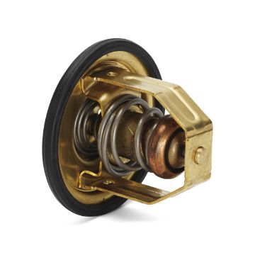 Immagine di 876080 KIT TERMOSTATO