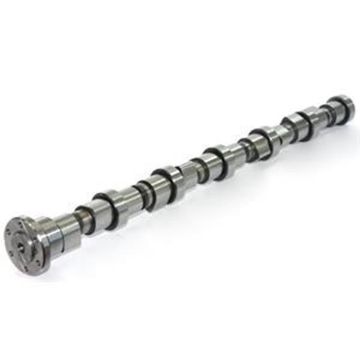 Immagine di 3979506 CAMSHAFT