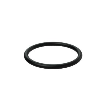 Immagine di 20441519 ANELLO-O