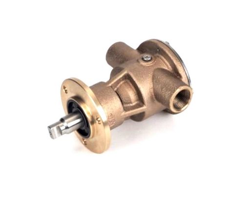 Immagine di 25-11202 POMPA ACQUA SFTM