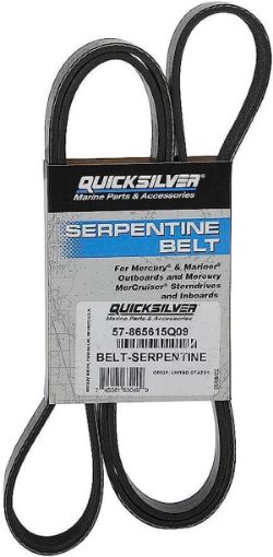 Immagine di 865615Q09 BELT-SERPENTINE W/O PS