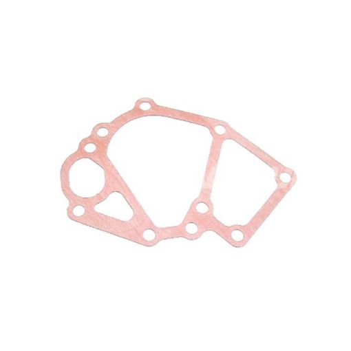 Immagine di 2194670 GUARNIZIONE GASKET