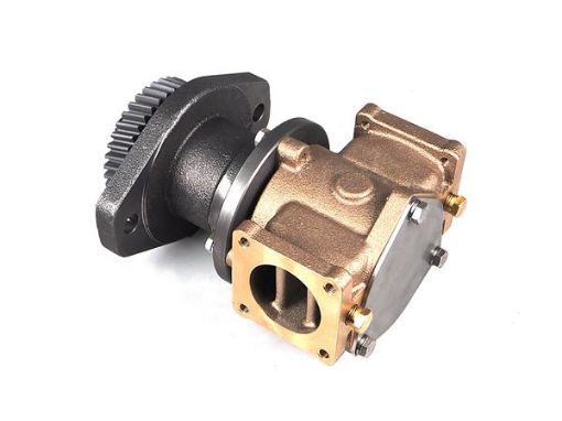Immagine di 4937275 PUMP SEA WATER