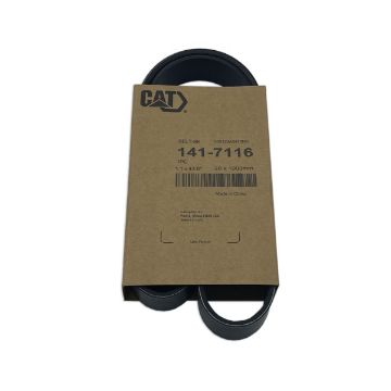 Immagine di 1417116 CINGHIA BELT