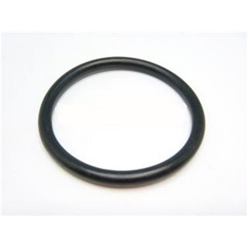 Immagine di 3P0649A SEAL-O-RIN