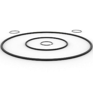 Immagine di 2486608 GRUPPO TENUTE SEAL KIT