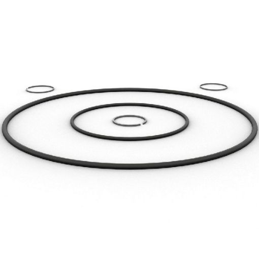 Immagine di 2486608 GRUPPO TENUTE SEAL KIT