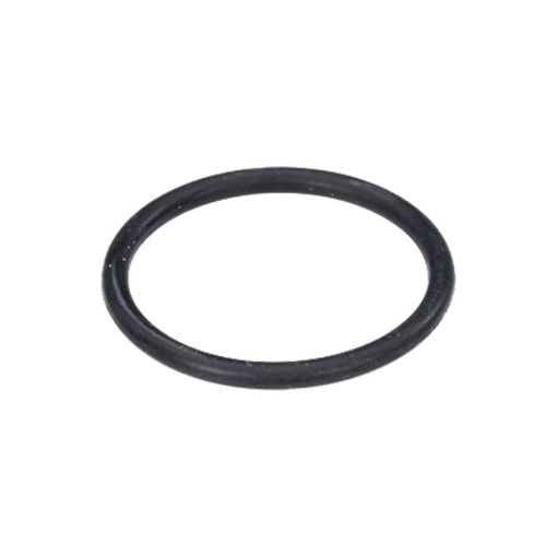 Immagine di 06.56937-1254 Anello tenuta toroid. 24X4-FPM2-70