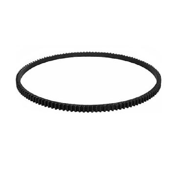 Immagine di 3905427 GEAR,FLYWHEEL RING