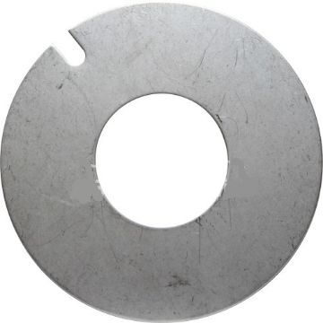 Immagine di 23112 WEAR PLATE