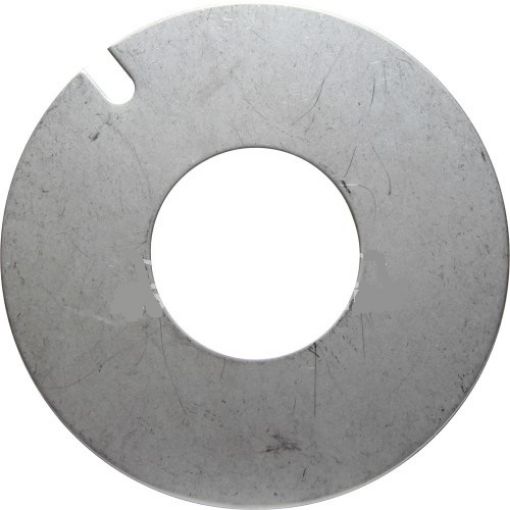 Immagine di 23112 WEAR PLATE