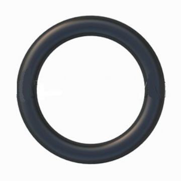 Immagine di 5P6718 TENUTA SEAL-O-RING