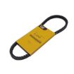 Immagine di 1L6557 CINGHIA VEE BELT