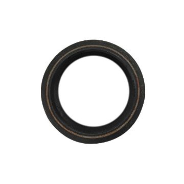 Immagine di 46340346A ANELLO TENUTA - SEAL RING