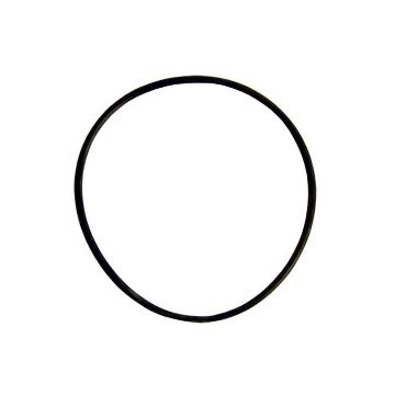 Immagine di 119175-42570 O RING POMPA MARE 4LHA 12065042440