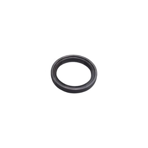 Immagine di 2352484 TENUTA SEAL-LIP TYP