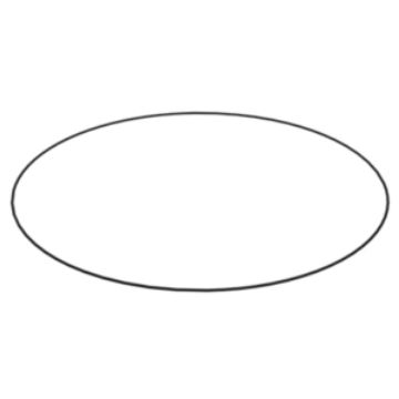 Immagine di 7D7519 SEAL-O-RING