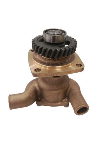 Immagine di 129573-42502 POMPA AM JH2 12957342501