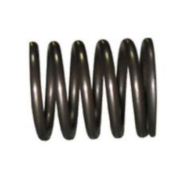 Immagine di 7N1904 SPRING