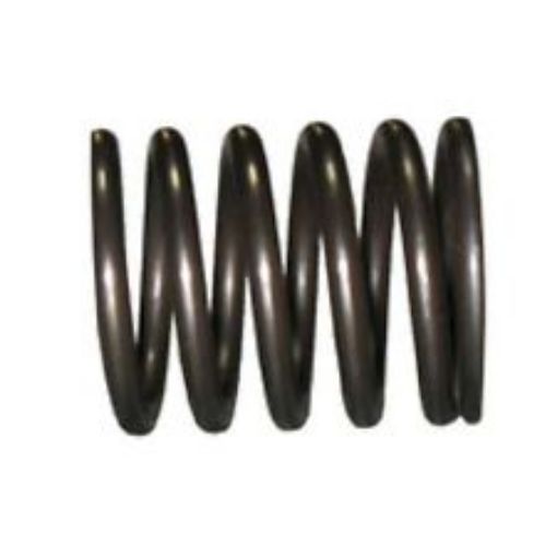 Immagine di 7N1904 SPRING