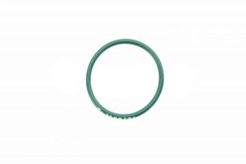 Immagine di 1198784A ORING