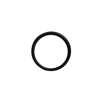 Immagine di 14457880A ORING