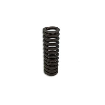 Immagine di 1376718 MOLLA SPRING-VALVE