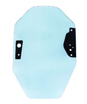 Immagine di 2584441 VETRO GLASS-DOOR