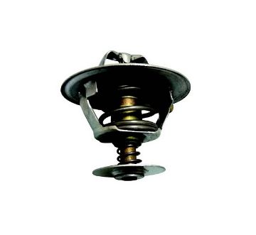 Immagine di 6210419 TERMOSTATO