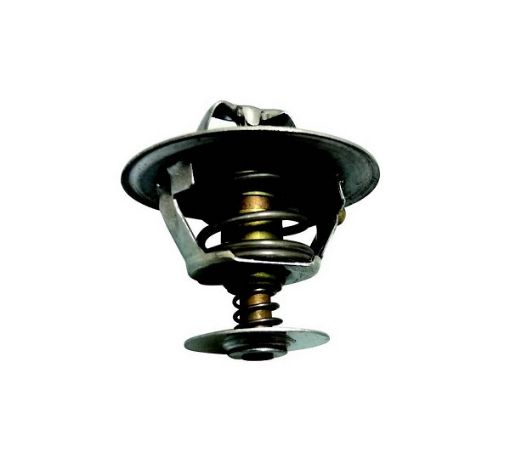 Immagine di 6210419 TERMOSTATO