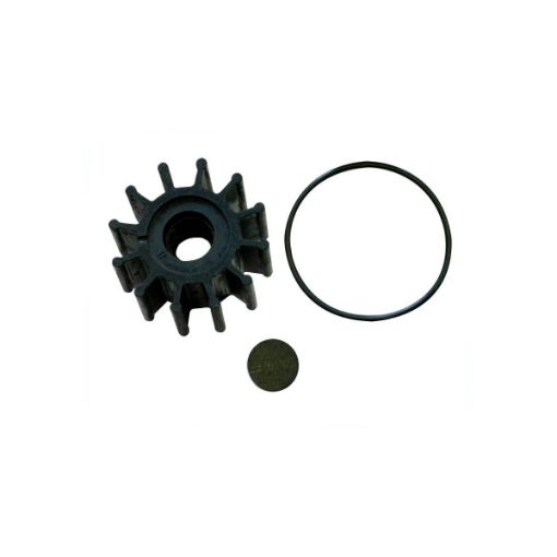 Immagine di 21951348 IMPELLER KIT