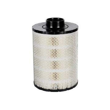 Immagine di AH19003 Filtro aria