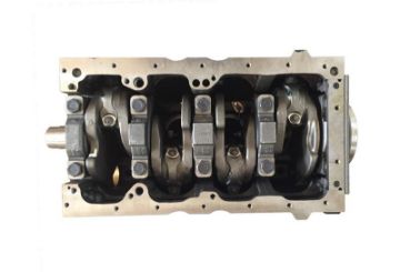 Immagine di RG40024R EXCH SHORT ENG