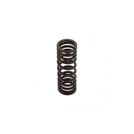 Immagine di 2113122 MOLLA SPRING-VALVE