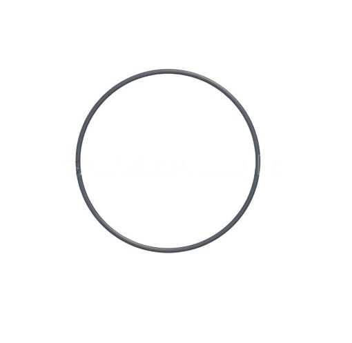 Immagine di 1259794A Anello OR Fluorocarbon (75)  120,24x3,53