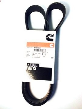 Immagine di 3288689 BELT,V RIBBED