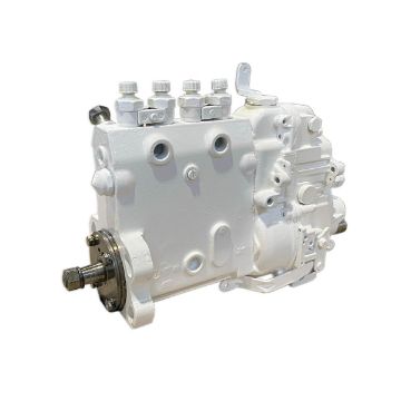 Immagine di 729570-51300U POMPA INIEZIONE