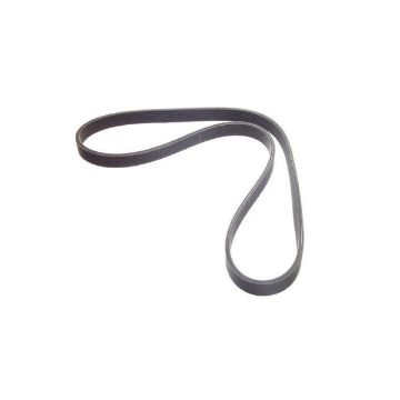 Immagine di OE49892I BELT