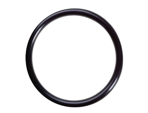 Immagine di 24341-000260 O RING