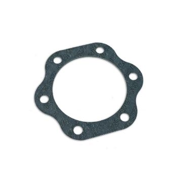 Immagine di 51.06901-0124 Guarnizione