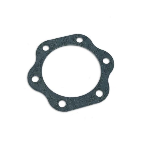 Immagine di 51.06901-0124 Guarnizione