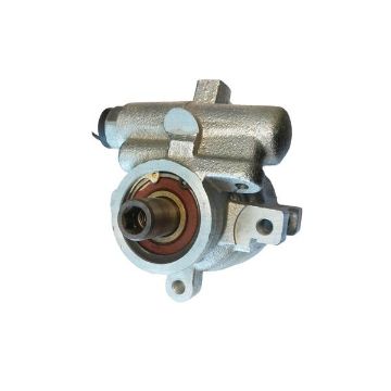 Immagine di 18825A10 PUMP ASSY P/S