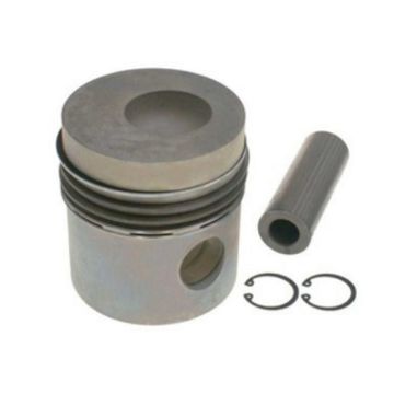 Immagine di 875579 PISTONE