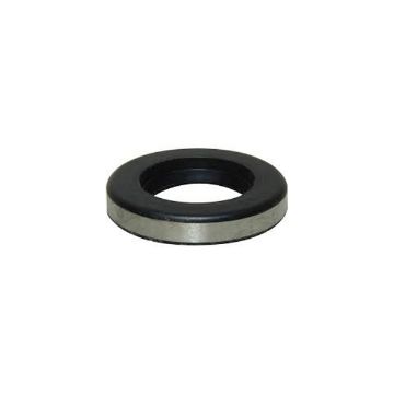 Immagine di 21751 LIP SEAL