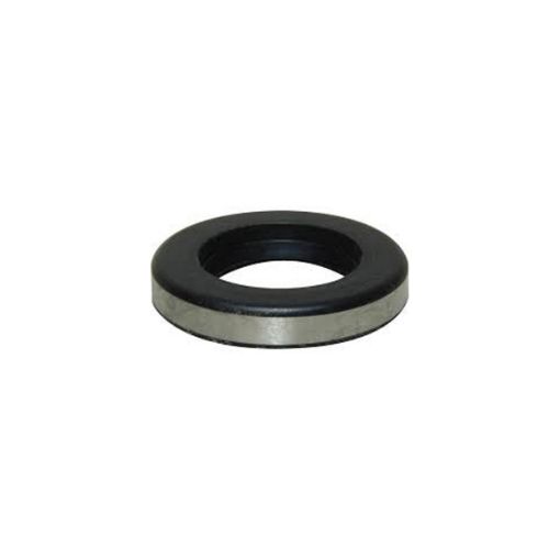 Immagine di 21751 LIP SEAL